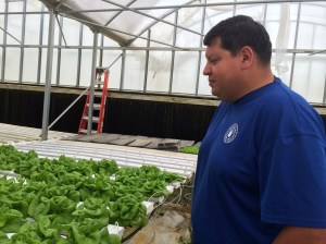 bibLettuceGardner_coushattaHDR