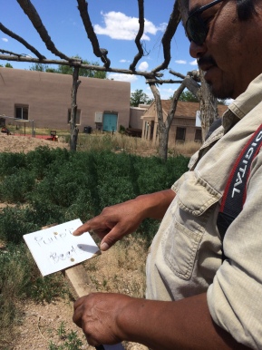 George Toya holding a sign with the Tewa word for beets. Photo by Elizabeth Hoover