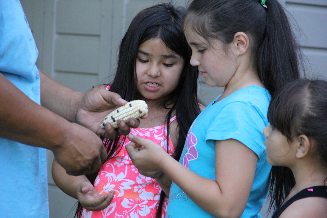 Mvskoke Food Sovereignty Initiative (MFSI), Muscogee Creek Nation, Okmulgee&nbsp;OK