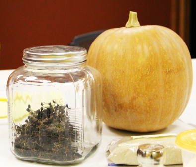 Indian pumpkin and dried possum grapes