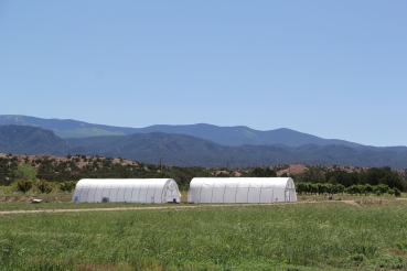 Hoop houses on the Tesuque farm. Photo by Elizabeth Hoover