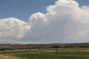 Alfalfa fields at Cochiti Pueblo. Photo by Angelo Baca