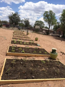 ZYEP garden. Photo by Elizabeth Hoover