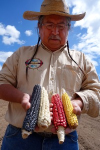Clayton Brascoupe with four colors of traditional corn. Photo courtesy of Seed: The Untold Story