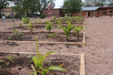 ZYEP garden boxes at the Twin Buttes High School campus. Photo by Angelo Baca