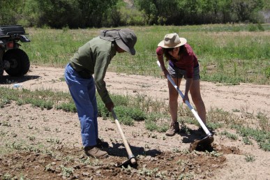 Emigdio Ballon and volunteer Marissa Naranjo. Photo by Angelo Baca