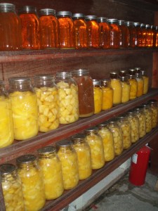 TNAFA food processing workshops in Belize. Photo by Clayton Brascoupe