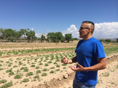 Jayson Romero giving us a tour through his fields. Photo by Elizabeth Hoover
