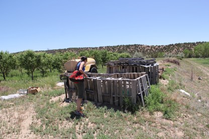 Checking out the giant vermicomposting bins. The worm castings are used to improve soil fertility in the garden