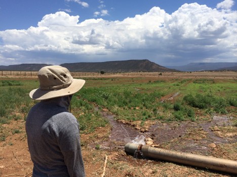 The farm is currently working with NRCS to replace the 40 year old irrigation system. Standing nearby is Breann Clarkson, who has worked on the farm for the past 5 summers as an intern for Habitat for Health. She is currently studying Public Health at Northern Arizona University. Photo by Elizabeth Hoover