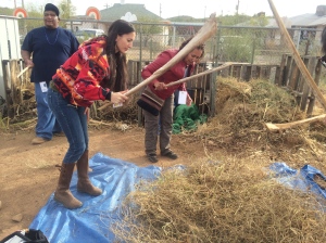 Threshing beans at on of the TOCA school gardens. December 2013