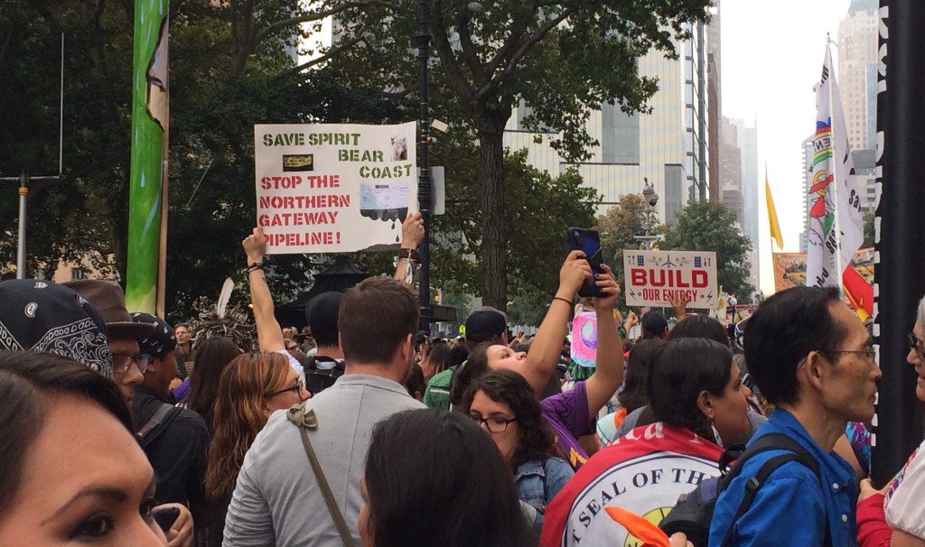 Photo by Elizabeth Hoover