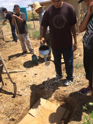 Step 3: water the cardboard