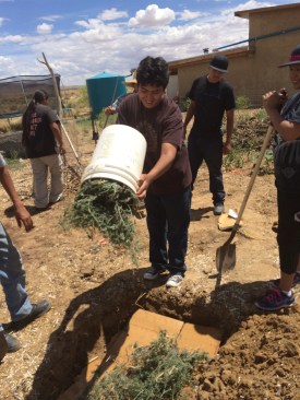 lasagna4,greencompost