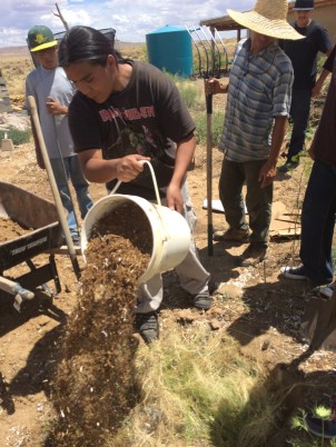 Step 6: add a layer of composted manure (in this case from chickens)