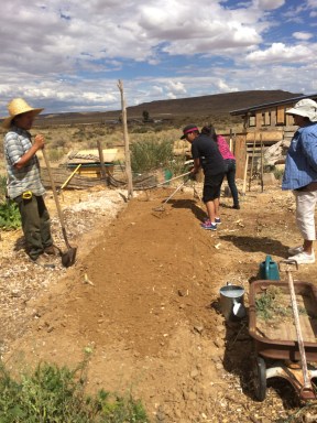 Step 8: when each square has been completed with steps 1-7, smooth the entire bed