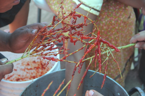 Paloverde branches were used to stir the jam, and catch any stray seeds or sticks. Photo by Angelo Baca