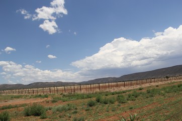 Ndee Bikiyaa fields on the White Mountain Apache's reservation. Photo by Angelo Baca