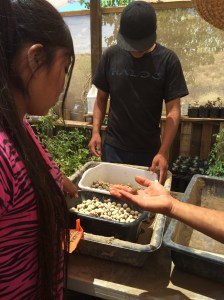 Juhriene and Hawthorne with seedballs- balls of clay and seeds that we threw into the wash to help vegetate it. Photo by Elizabeth Hoover
