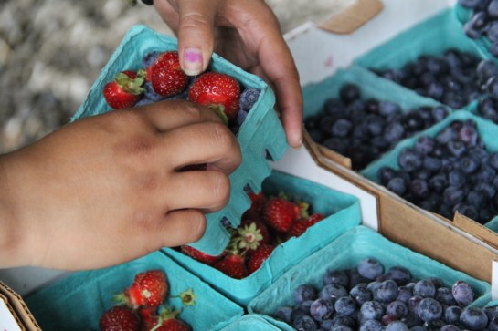 Fresh strawberries and blueberries from the Nisqually garden. Photo by Angelo Baca