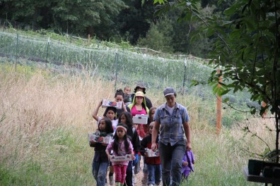 Project Supervisor Caitlin Karlin and a team of volunteer berry pickers. Photo by Angelo Baca