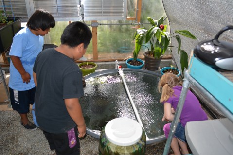 Inspecting the fish. Photo by Keith Glidewell