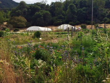 Indian Valley Organic Farm & Garden. Photo by Elizabeth Hoover 