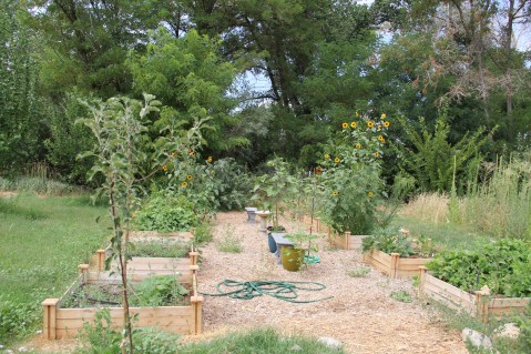 Elders community Garden. Photo by Angelo Baca