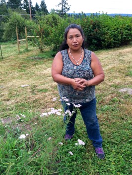 Grace giving us a tour through the medicines garden, where yarrow as well as lemon balm, nasturtiums, swamp tea, nettles, bee balm, Echinacea, marshmallow, and worm wood grow