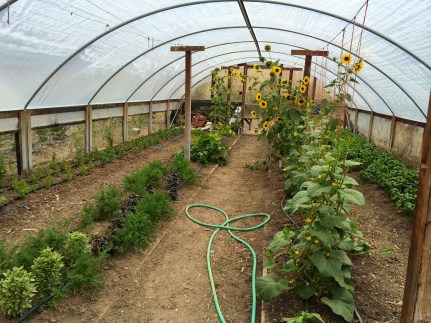 Greenhouse at Indian Valley Farm & Garden. Photo by Elizabeth Hoover