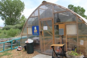 Greenhouse aquaponic projects. Photo by Angelo Baca