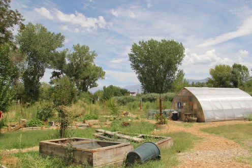 community garden and greenhouse. Photo by Angelo Baca