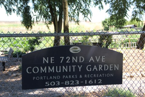 Photo by Elizabeth Hoover