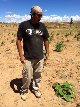 Roberto Nutlouis with a Navajo hubbard squash plant. Photo by Elizabeth Hoover