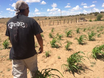 Roberto Nutlouis in his family's cornfield. Photo by Elizabeth Hoover