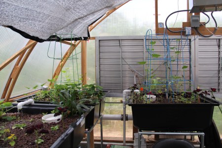 Photo by Angelo Baca