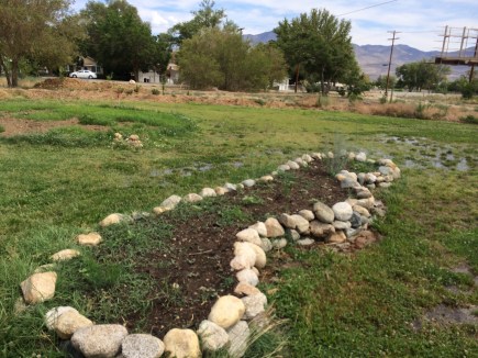 Raised rock garden. Photo by Elizabeth Hoover