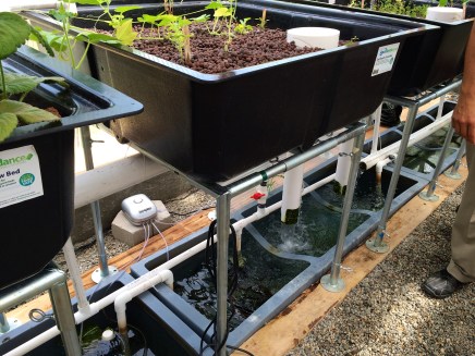 Photo by Elizabeth Hoover