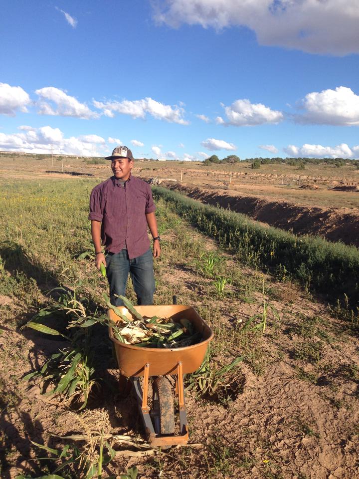 Black Mesa Water Coalition Green Economy Project, Piñon AZ