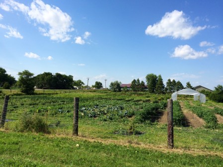 Winyan Toka Win Garden at the Cheyenne River Youth Project. Photo by Elizabeth Hoover