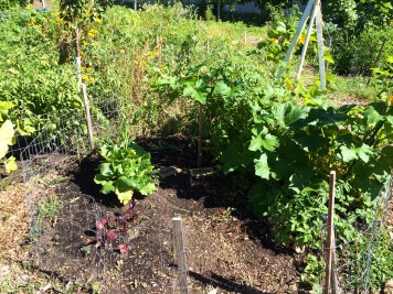 Keyhole gardens inside the mandala garden. Photo by Elizabeth Hoover