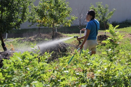 Annette watering the orchard while she gives me a tour. Photo by Angelo Baca