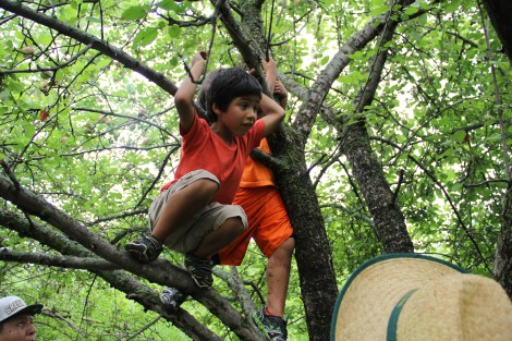 Apple picking. Photo by Elizabeth Hoover