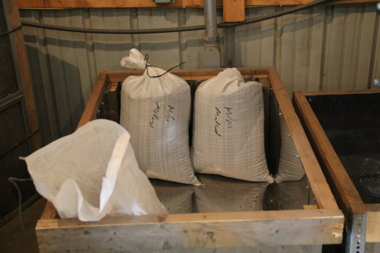 Some ricers sell their harvest to Bruce outright, others bring rice to him to finish, and then pay him with a percentage of the finished product. Photo by Elizabeth Hoover