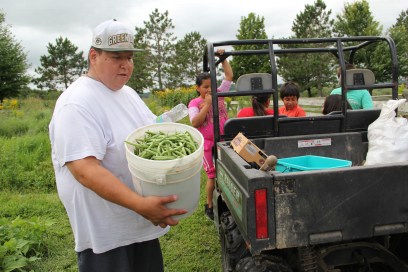 Green bean harvest. Photo by Elizabeth Hoover