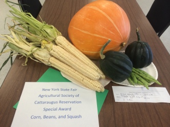 Corn, beans and squash, grown by the Early Childhood Learning Center students and staff, Cattaraugus reservation. Photo courtesy of Jason Corwin