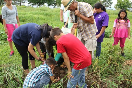 Digging for potatoes. The kids were so excited about how many potatoes came up with each shovel full of dirt. Photo by Elizabeth Hoover