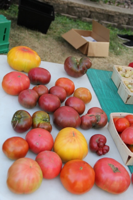 A few of the heritage tomato varieties grown at the DOWH farm. Photo by Angelo Baca