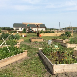Raised beds at the White Earth Tribal and Community College. Photo by Elizabeth Hoover