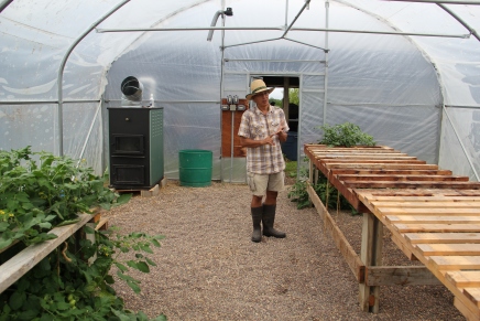 Woody in the program's certified organic greenhouse, heated with a wood pellet stove. This past spring 700 or more plants were started in here, that then went into the program's garden, as well as the Blue Wing community garden, and the  Chey-ka-shee community garden in Nekoosa. The Amish Roma tomatoes seeded themselves, and are thriving! Photo by Elizabeth Hoover 